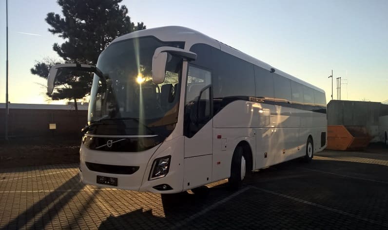 Andalusia: Bus hire in Jerez de la Frontera in Jerez de la Frontera and Spain